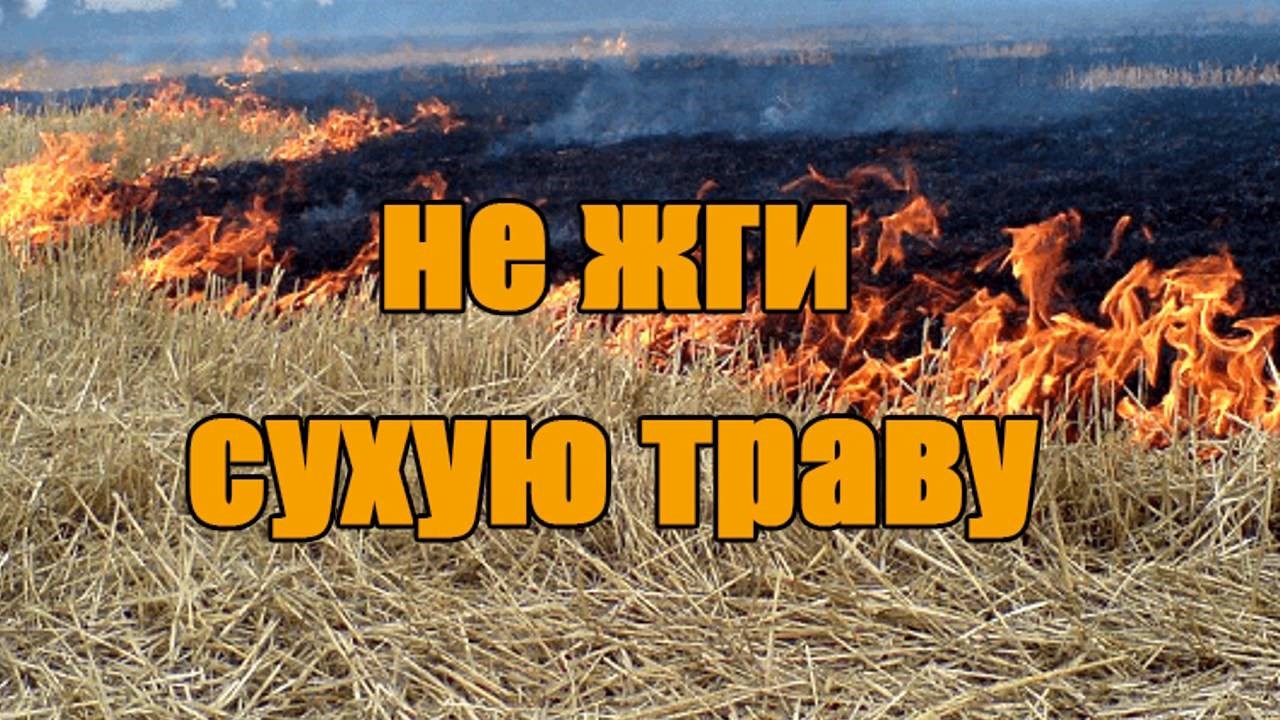 Не сжигайте свое будущее!.
