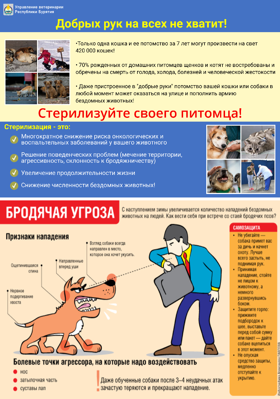 Памятка по содержанию домашних животных.